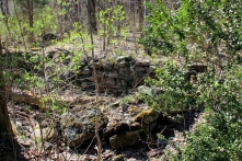 Farmland Madison Virginia, old stone foundation, old stone ruins, farmland for sale, Rapidan Wildlife Management Area